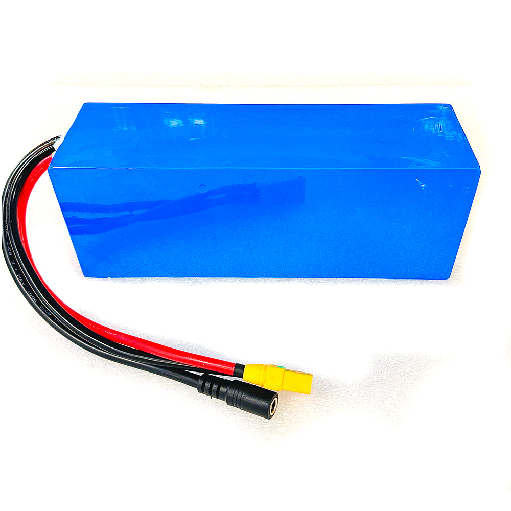 10S3P 42V Battery Pack Molicel 21700 Cells with 5A Charger