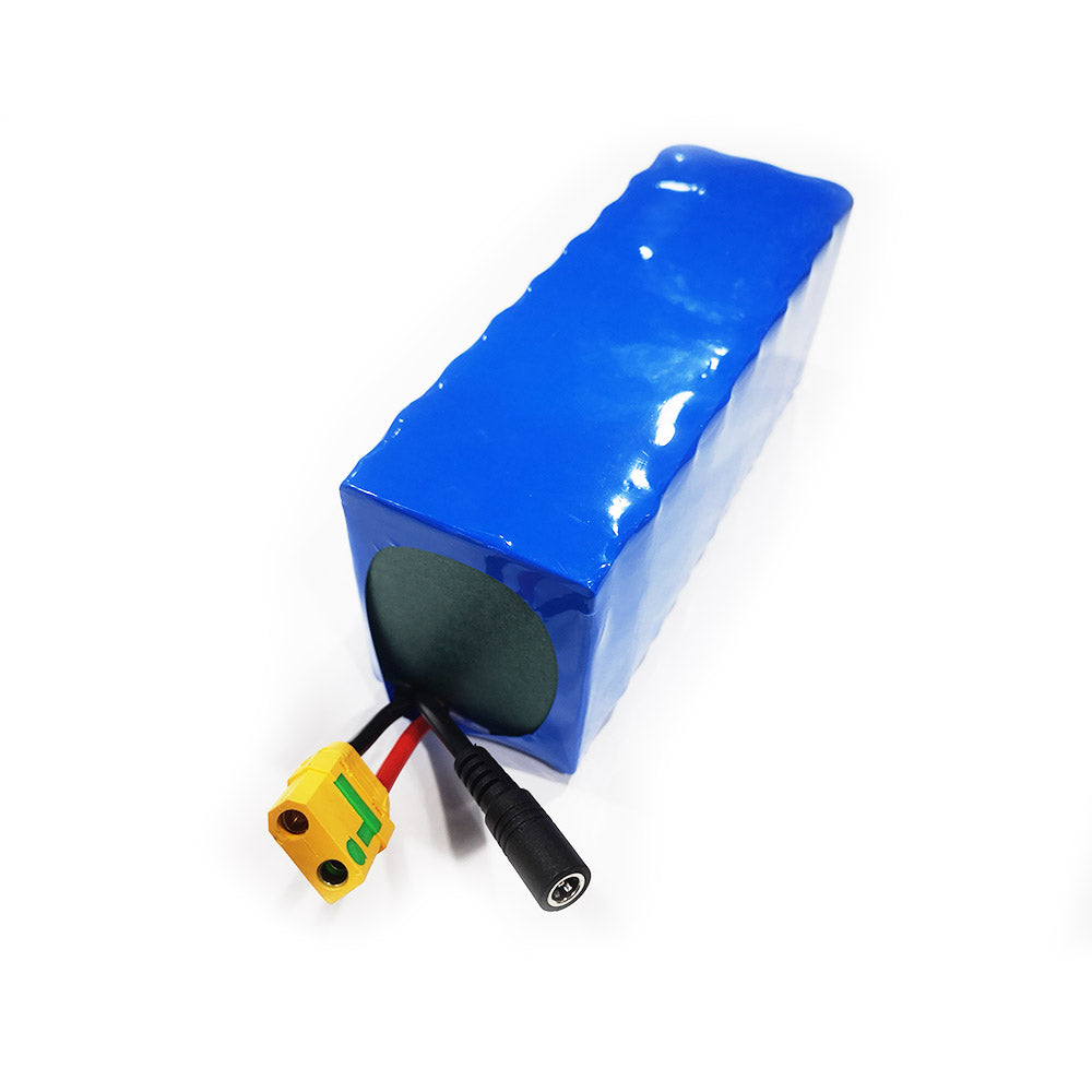 8S3P 33.6V Battery Pack Molicel 21700 Cells with 5A Charger