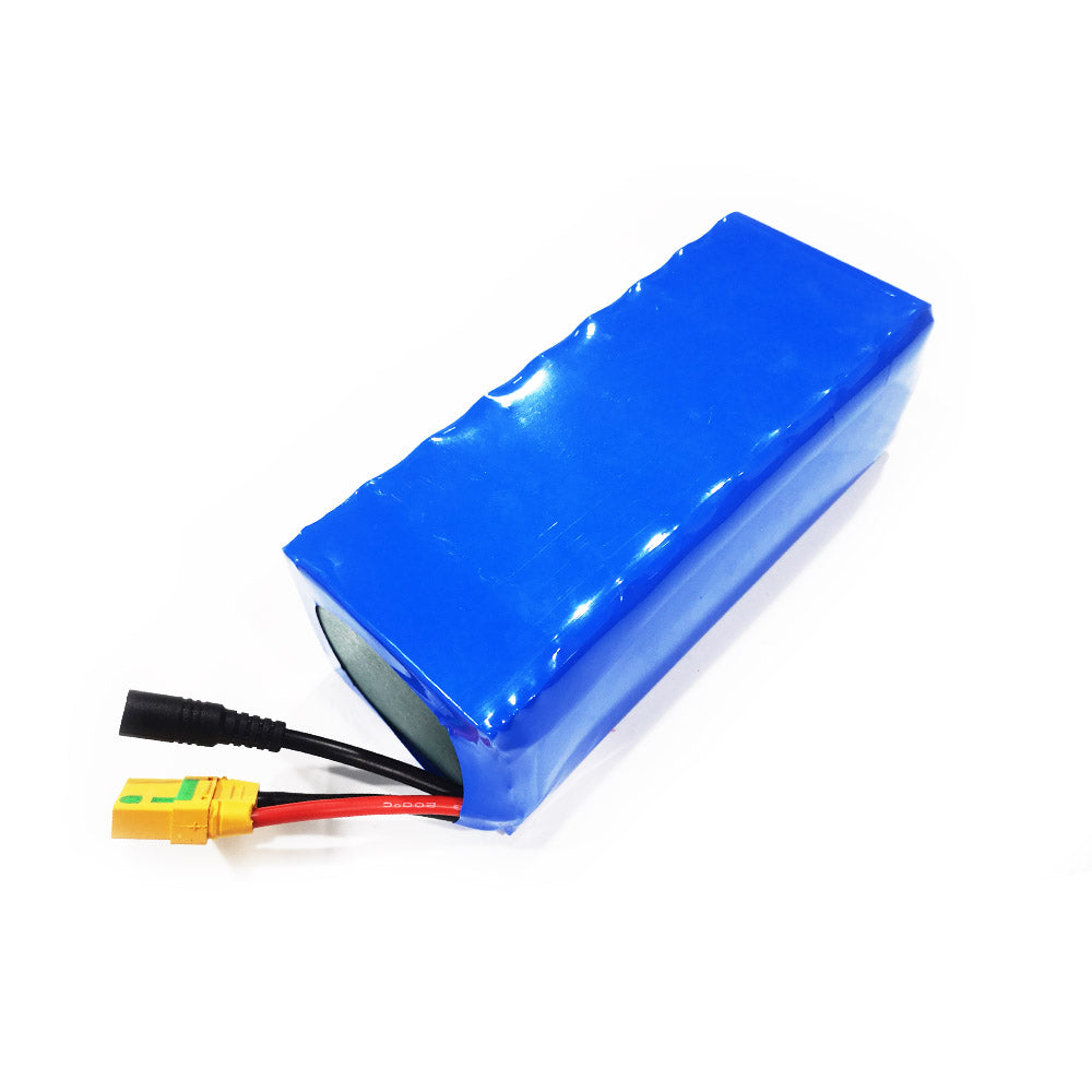 8S3P 33.6V Battery Pack Molicel 21700 Cells with 5A Charger